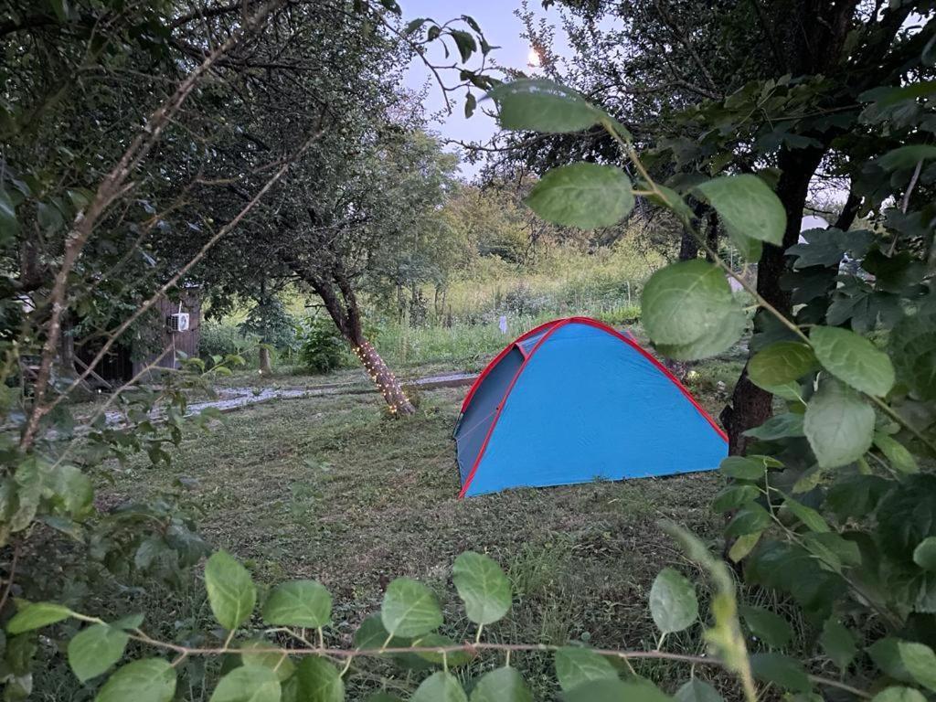 Campsite La Padurea Mica *