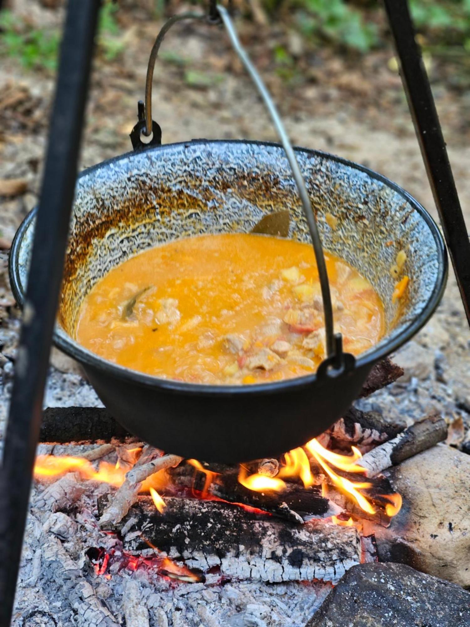 La Padurea Mica Campsite