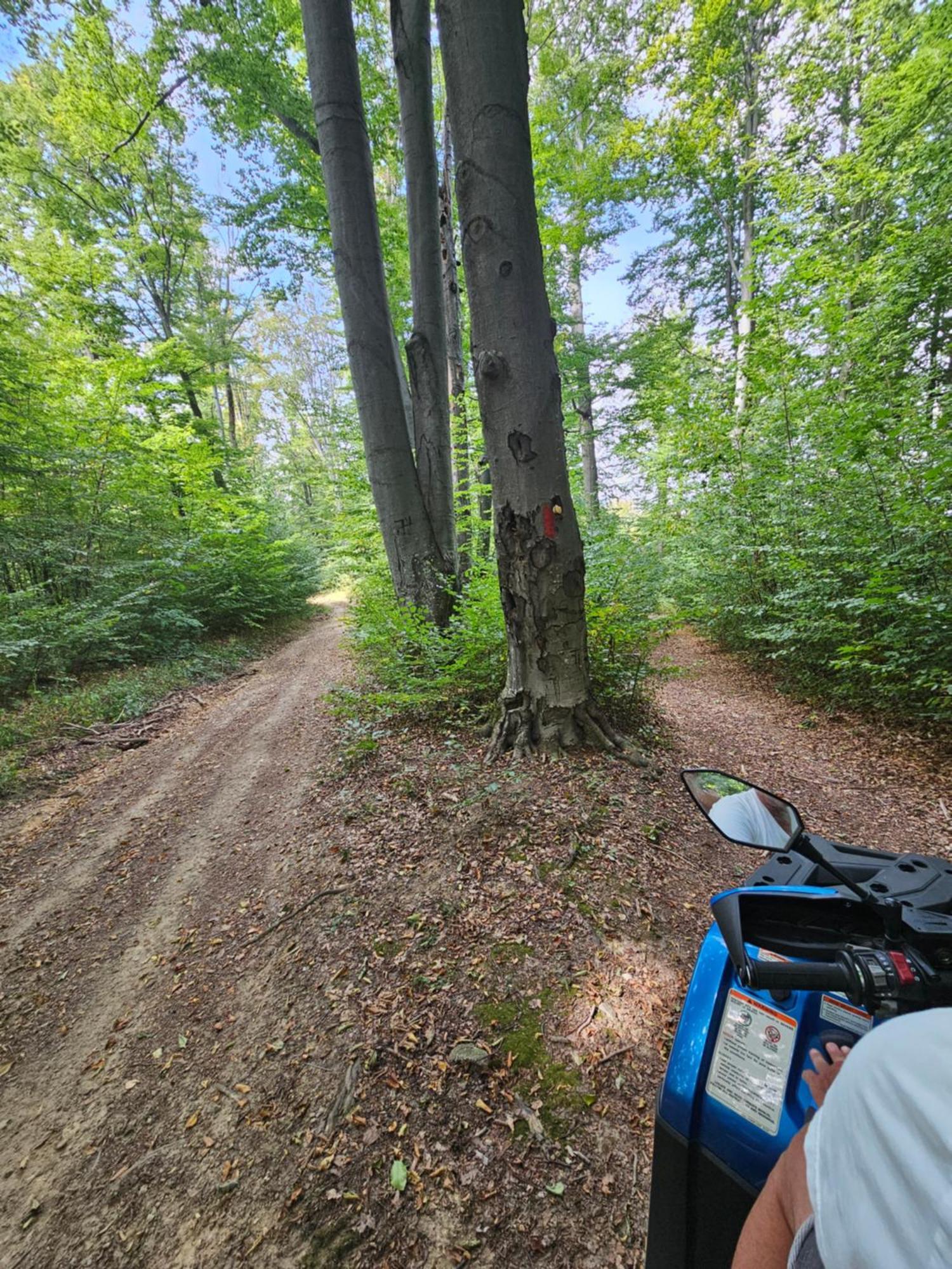 La Padurea Mica Campsite *